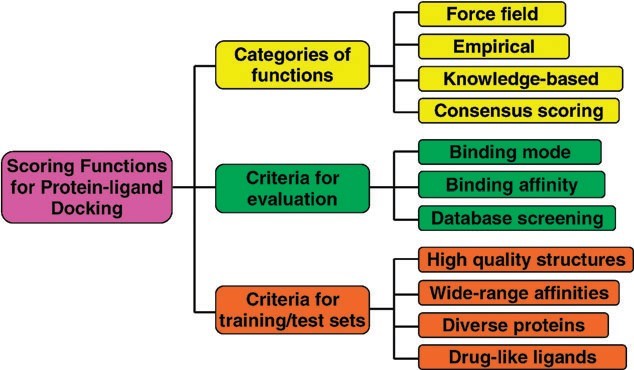 Figure: An illustration of the categories and evaluations of the scoring functions for protein–ligand docking